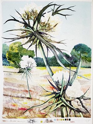 ברוך אלרון (1934-2006) - אלון הגליל, 1996, צבע מים על נייר, 65x48 ס״מ, חתום, מתואר ומתוארך.