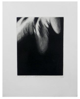 Aryeh Rothman (Israeli - Austrian, 1921-2007) - Leaves, Aquatint, 25 x 20 / 40 x 32 cm 