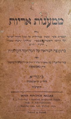 הד כאוב ממלחמת העולם הראשונה. הספדים על גדולי ויקירי ישראל שנספו מלחמה, מאת רבי עזריאל זליג נח 