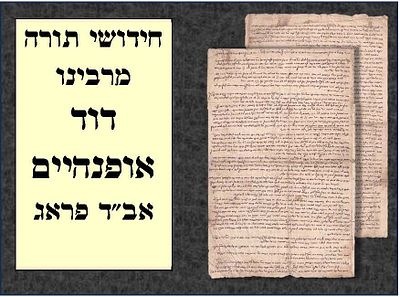 חידושי תורה של הגאון רבי דוד אופנהיים אב"ד פראג - מסכת בבא מציעא פרק הזהב 
4 עמודים ארוכים 