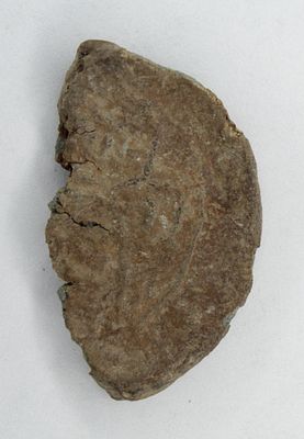 Вислые печати. В количестве 75 штук.