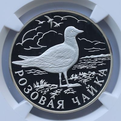 1 рубль 17 июня 1999 года, ЛМД, "красная книга - Розовая чайка", гурт рубчатый. Предмет в 
