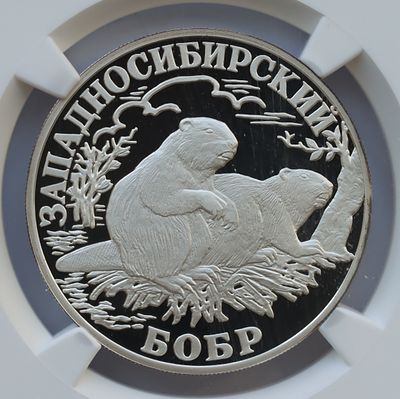 1 рубль 18 октября 2001 года, СПМД, "красная книга - Западносибирский бобр", гурт рубчатый. Предм 