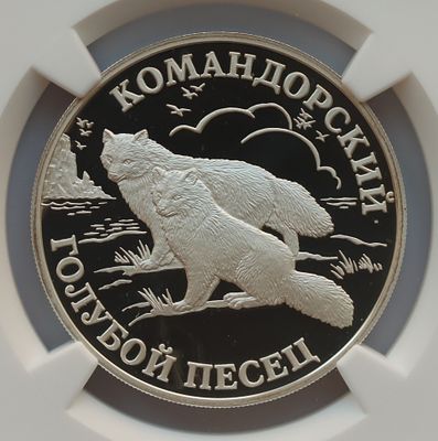 Рубль 2003 года. Командорский голубой песец. . Серебро. В слабе NGC PF 70 ULTRA CAMEO.