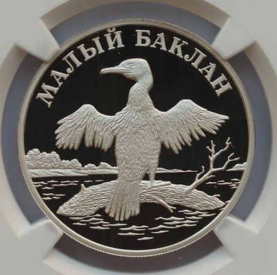 Рубль 2003 года. Малый баклан. Серебро. В слабе NGC PF 69 ULTRA CAMEO.