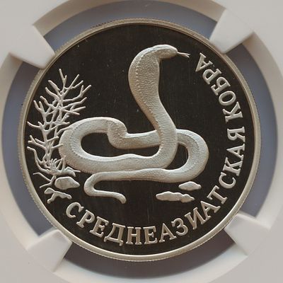 Рубль 1994 года. Среднеазиатская кобра. . Серебро. В слабе NGC PF 69 ULTRA CAMEO.