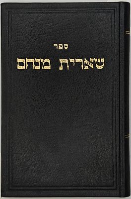 ספר שארית מנחם - דרושים וחידושים מאת רבי מנחם דאנטה רב הקהילות פינע, דאנדעק וליבעק ולאחמ"כ 