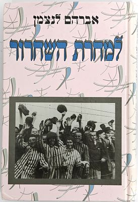 The Day After Liberation: The Story of the Holocaust Survivors in the Displaced Persons Camps 