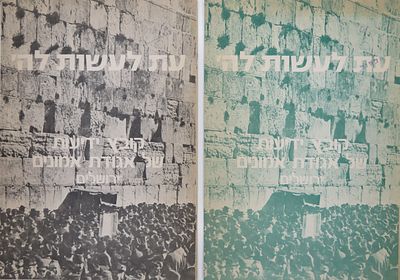 עת לעשות השם - שני חברות נדירות מאת 'אגודת אמונים' בירושלים - ענייני קירוב ועלייה 
ירושלים 