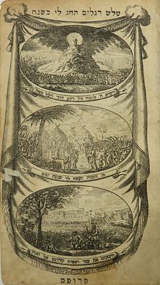 Collection [7] of Machzorim from the 'Props' edition Amsterdam 1828 - an elegant edition 