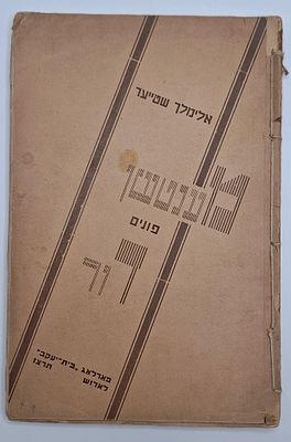 אינו רשום בילביליגרפית! מענטשן פונים דור, ספר תאולוגי בענייני השעה, מאת אלימלך שטיינער, יצא 