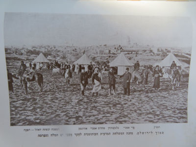 אהרנסון. צמח עבר הירדן. . קונטרס צמח עבר הירדן, מפקד בקורת לצמחים אשר נאספו ומקצתם הוגדרו על ידי 