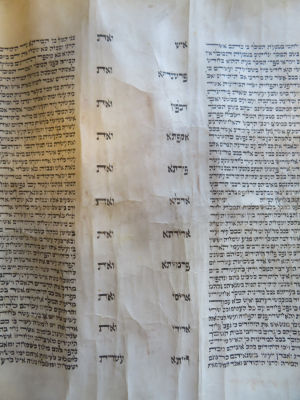 מגילת אסתר. שנות הת"ר?. מגילת אסתר ישנה. שנות הת"ר. ככל הנראה מפולין שלפני המלחמה, מאחד מבתי 