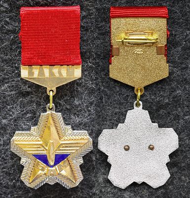 Знак ЦК ВЛКСМ За участие в строительстве и освоении зоны БАМ. Томпак, эмаль, ММД. За пределы 