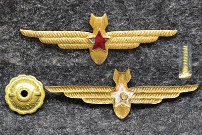 Знак Классность ВВС Военный штурман. Томпак, эмаль. За пределы Российской Федерации лоты не 