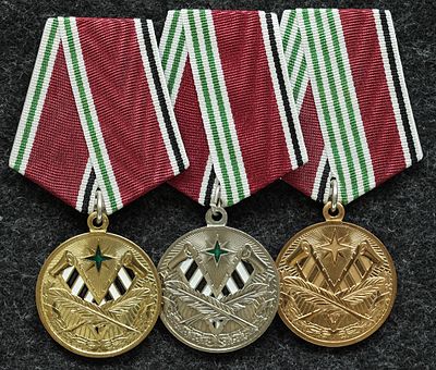 Медали ФМС За заслуги в управленческой деятельности. Томпак, краскаМедаль Федеральной 