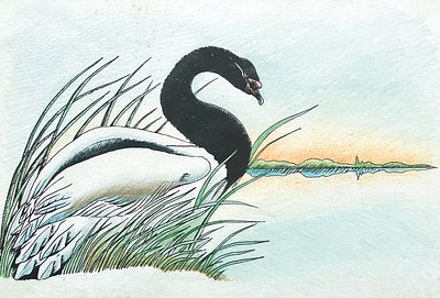 Nicol&aacute;s Garc&iacute;a Uriburu - NICOL&Aacute;S GARC&Iacute;A URIBURU (Escuela argentina, 1937-2016) Tinta y l&aacute;piz color 