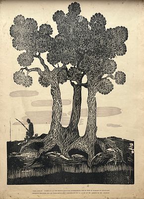 TINA BORCHE - TINA BORCHE (Escuela uruguaya, 1911-1970) Grabado xilogr&aacute;fico "Tres &aacute;rboles" Club de 